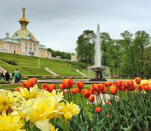 Palacio de Peterhof