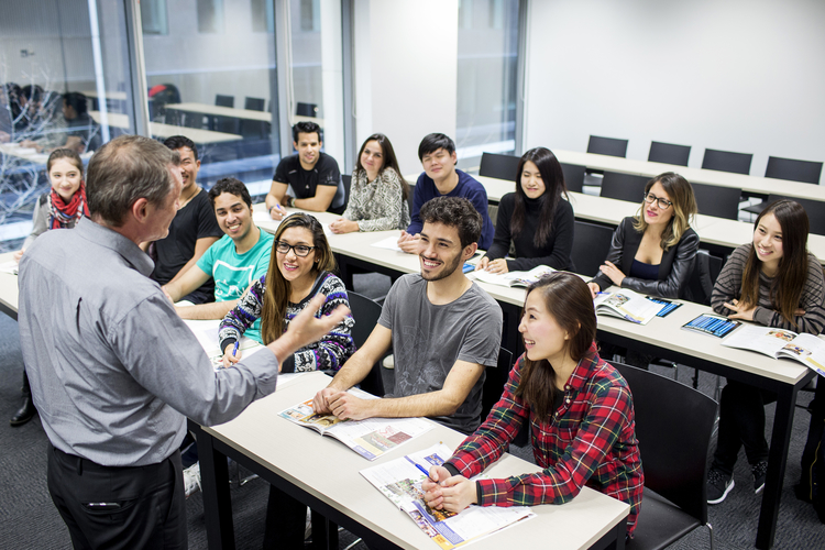 ¿Cuáles son los programas afines a la Maestría en Gerencia Social que ofrece Rusia?