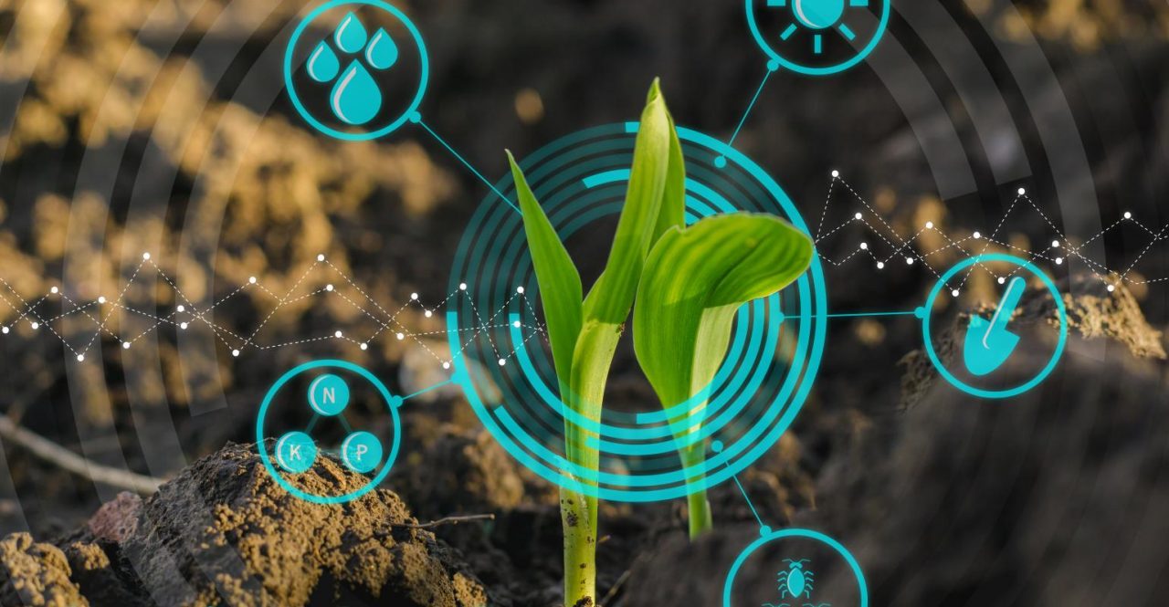 La agroindustria de Rusia cada vez de asemeja más a una película futurista de ciencia ficción