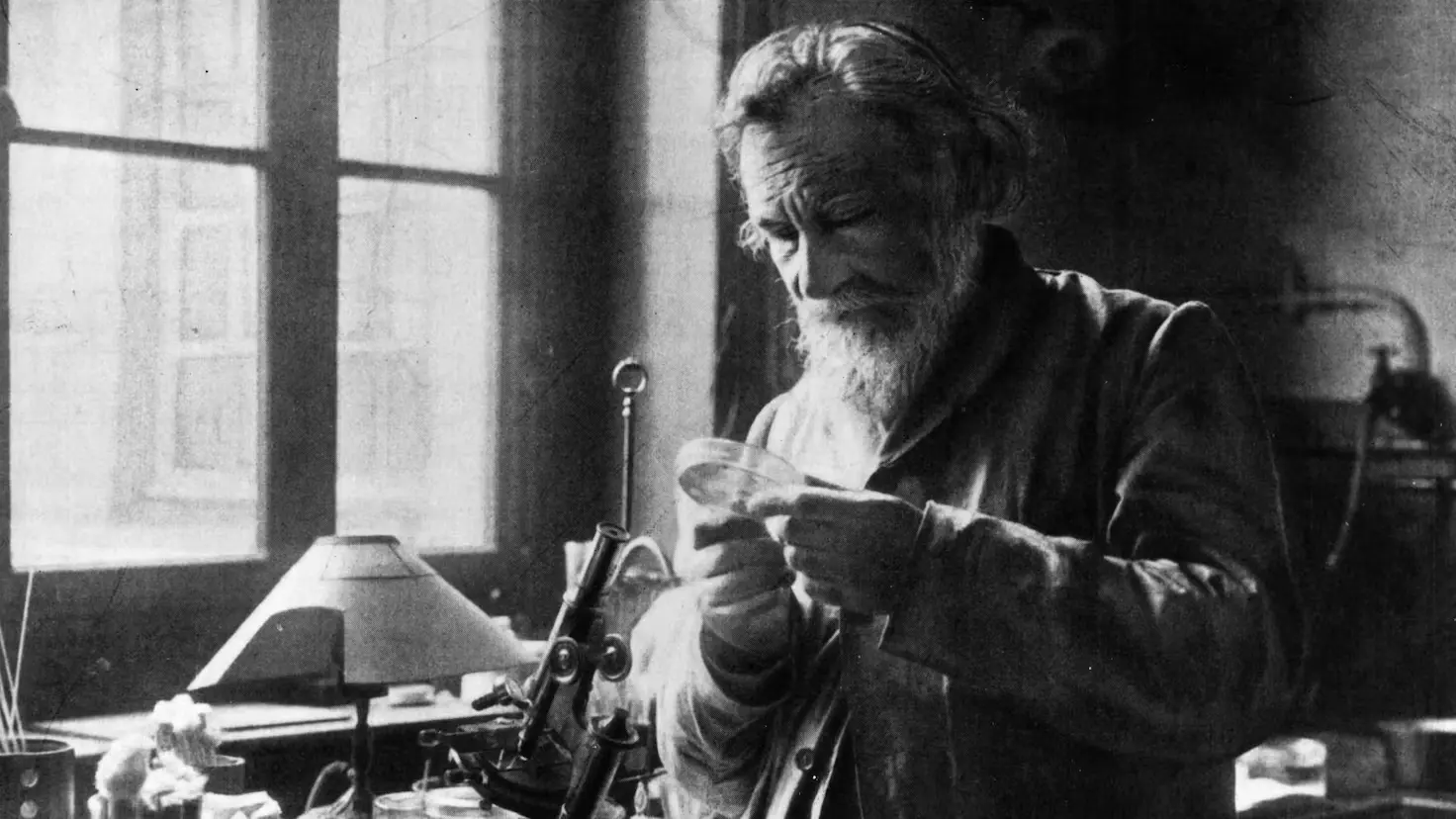 Conoce más sobre Iliá Mechnikov: Premio Nobel de Medicina en el año 1908
